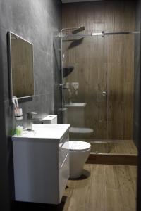 a bathroom with a toilet and a shower and a sink at Готель «ТАВЕРНА» in Ovruch