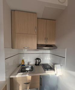 a small kitchen with a sink and wooden cabinets at Studio lumineux et climatisé avec parking gratuit - Tramway devant la résidence - appartement 114 in Grenoble