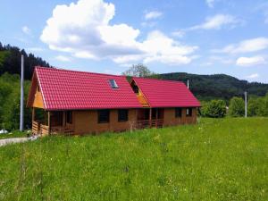a house with a red roof in a field at Chatka w gorach in Lewin Kłodzki
