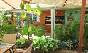 a patio with a bunch of plants and a table at Caffè Roma l'originale in Kampala