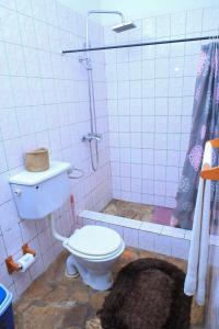 a bathroom with a toilet and a shower at Caffè Roma l'originale in Kampala