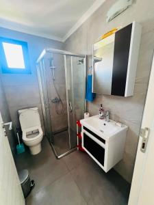 a bathroom with a shower and a sink and a toilet at Aslan House in Nicosia +21 photos