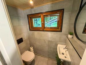 a bathroom with a toilet and a sink and a window at Willa Zielony Świat in Międzybrodzie Bialskie +26 photos