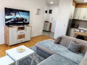 a living room with a couch and a flat screen tv at Apartman 40 in Modriča