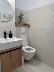 a bathroom with a toilet and a sink and a mirror at Cazare Târgu Secuiesc in Târgu Secuiesc +13 photos