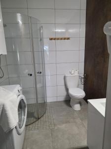a bathroom with a shower and a toilet and a sink at PRZYSTANEK nowEKOprzywno in Parchlino