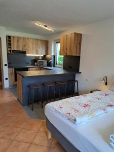 a room with a kitchen and a bed in a room at Appartement Haus Gatterer in Obertilliach