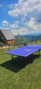 a ping pong table sitting on top of a field at Mountain House Bošković in Bijelo Polje