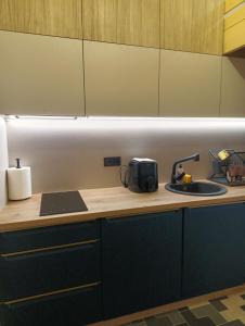a kitchen counter with a sink and a toaster at SOL Apartment in Jūrmala
