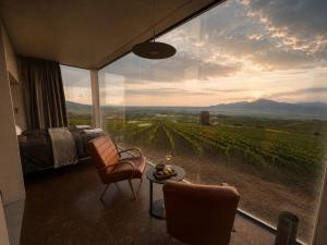 a bedroom with a bed and a view of a vineyard at Glamping Domik Tokaj in Malá Tŕňa