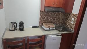a small kitchen with a counter and a sink at studios ELENA in Potos