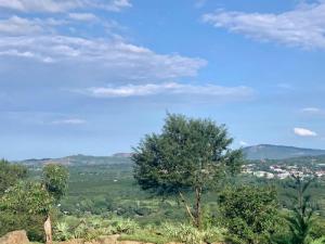 a tree on a hill with a city in the distance at Hazyview Accommodation, Bon Repose Cottage 2 in Hazyview