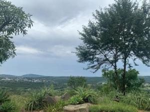 a tree sitting on top of a hill at Hazyview Accommodation, Bon Repose Cottage 2 in Hazyview