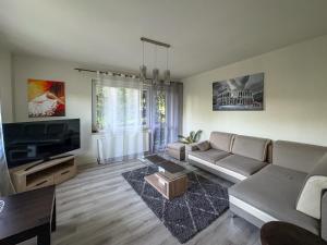 a living room with a couch and a flat screen tv at Willa Kotelnica in Międzybrodzie Bialskie