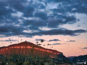 a mountain with trees on top of it at sunset at Un pied-à-terre in Millau