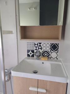 a bathroom with a sink and a mirror at Le Chalet du Lâcher-Prise in Éguzon-Chantôme
