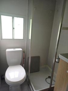 a bathroom with a white toilet and a window at Le Chalet du Lâcher-Prise in Éguzon-Chantôme +4 photos