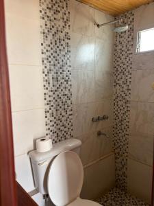 a bathroom with a toilet and a shower at Cabaña Cielo de Cachi in Cachí