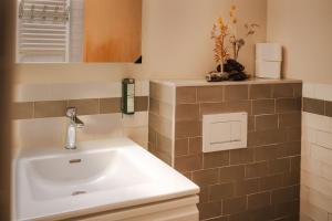 a bathroom with a sink and a mirror at Alpine Apartment by Carista Homes in Habkern