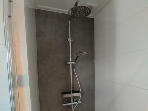 a shower with a shower head in a bathroom at OV815- Chalet Eveline in Blokzijl +17 photos