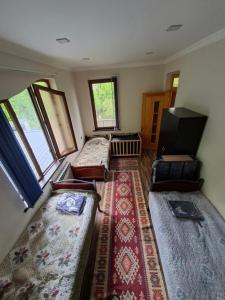 a living room with couches and a rug at Green Paradise in Qax