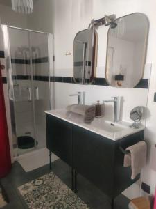 a bathroom with a sink and a shower at Maison La Suite 27 in Guingamp +13 photos