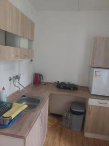 a kitchen with a wooden counter top with a sink at Domek v přírodě Hradec Králové in Hradec Králové +25 photos