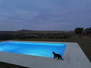 Басейн в или близо до Quinta da Cabrida - Casa do Feitor - Douro
