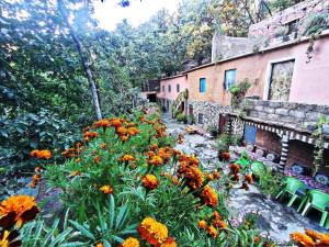 a garden with flowers in front of a building at Gite Oussalem timichi in Timichchi