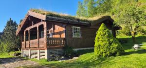 a log cabin with a grass roof at Cosy chalet, 100m2 with fjordview! in Lauvstad