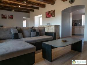 a living room with a couch and a table at Gîte Le Cayrou in Saint-Just-sur-Viaur