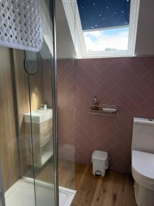 a bathroom with a shower and a toilet at WHITEHILL STABLES in Kirknewton