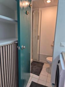 a bathroom with a shower and a toilet at On Ze Rock in Le Diamant