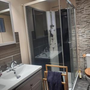 a bathroom with a shower and a sink and a toilet at Le Pakitoun in Boisse-Penchot