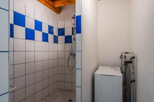 a bathroom with a toilet and a shower with blue and white tiles at Appartement 6 p Sanguinet-"Chott" in Sanguinet +17 photos