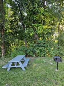 a picnic table in the grass next to a grill at Mountain Creek Tavern in Mount Holly Springs