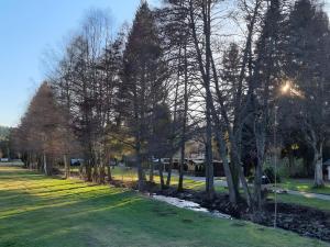 a row of trees in a park with green grass at Ferienwohnung Sensweiler Mühle in Sensweiler