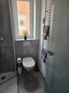 a small bathroom with a toilet and a window at City Apartment in Bad Arolsen +7 photos
