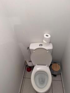 a bathroom with a toilet with a roll of toilet paper on it at Le Perchoir in Chalon-sur-Saône