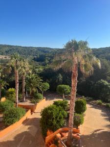 a view of a park with palm trees and benches at EL MIRADOR in Alaior