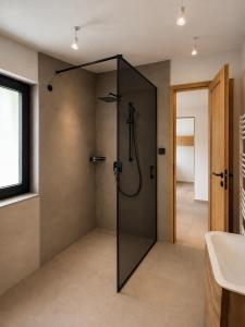 a bathroom with a shower with a glass door at Eben Central Living in Eben im Pongau +15 photos