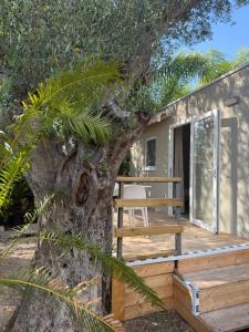 a house built around a tree with a wooden deck at Residence Serrone in Santa Maria di Castellabate