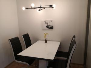 a white table with black chairs and a vase with flowers at Eichbachgasse 38 in Graz