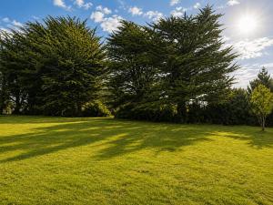 a grassy field with two trees in the background at El Urco Chiloé - Cabaña Guapilacuy in Ancud