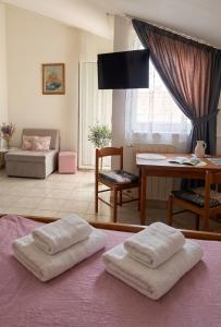 a living room with two white pillows on a purple rug at Studio apartman Olivera in Rovinj