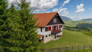 a house with a red roof on a green field at Casa Koenigstein Private Hilltop Villa in Fundata
