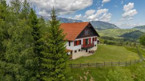 a house with a red roof on a green field at Casa Koenigstein Private Hilltop Villa in Fundata
