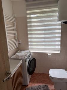 a bathroom with a toilet and a sink and a window at Apartment WOLF in Kořenov