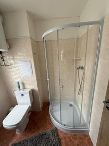 a bathroom with a shower and a toilet at Apartment WOLF in Kořenov +15 photos