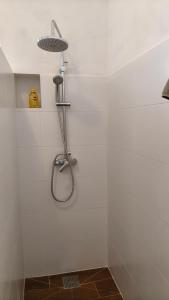 a shower with a shower head in a bathroom at Alentejo Colours Cano in Cano +19 photos